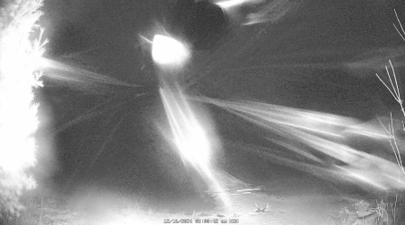 Image from 2024-12-16