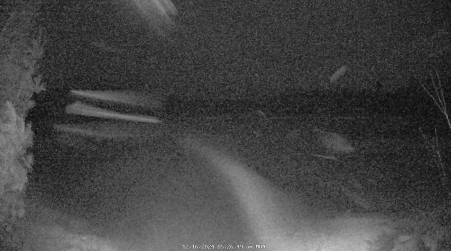 Image from 2024-12-16