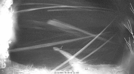 Image from 2024-12-16