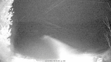 Image from 2024-12-16