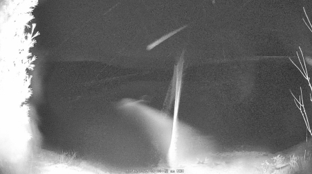 Image from 2024-12-16