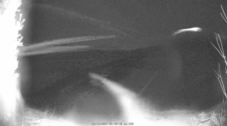Image from 2024-12-16