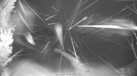 Image from 2024-12-16