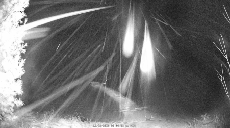 Image from 2024-12-16