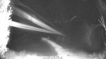 Image from 2024-12-16