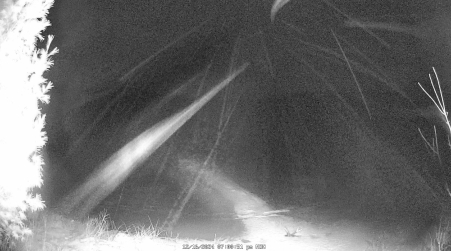 Image from 2024-12-16