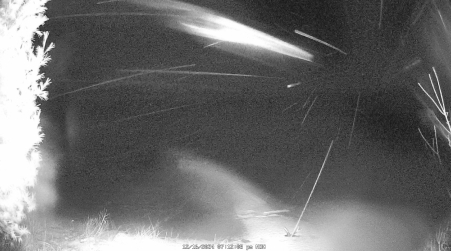 Image from 2024-12-16