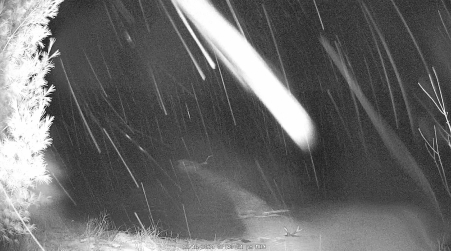 Image from 2024-12-16