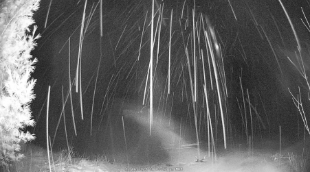 Image from 2024-12-16