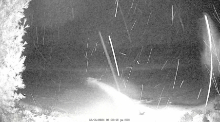 Image from 2024-12-16