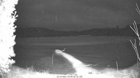 Image from 2024-12-16