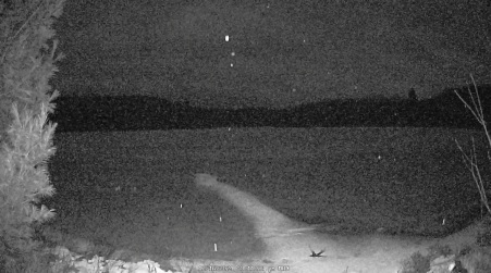 Image from 2024-12-16