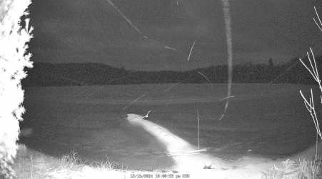 Image from 2024-12-16