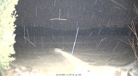 Image from 2024-12-16