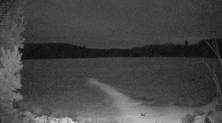 Image from 2024-12-17