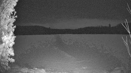 Image from 2024-12-19