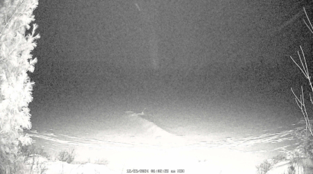 Image from 2024-12-23
