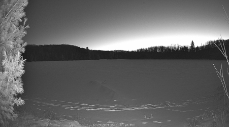 Image from 2024-12-24