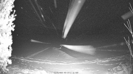 Image from 2024-12-25