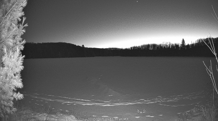 Image from 2024-12-25