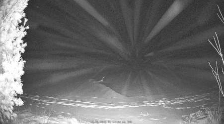Image from 2024-12-26