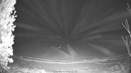 Image from 2024-12-26