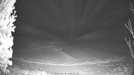 Image from 2024-12-26
