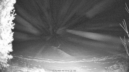 Image from 2024-12-26