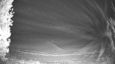 Image from 2024-12-26