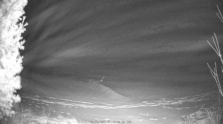Image from 2024-12-26