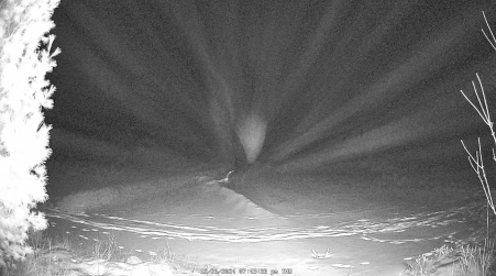 Image from 2024-12-26