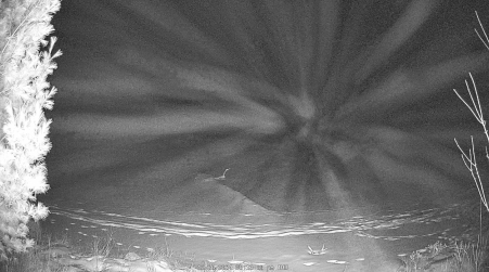 Image from 2024-12-26