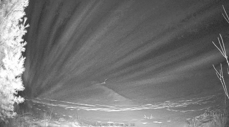 Image from 2024-12-26