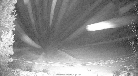 Image from 2024-12-26