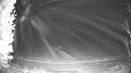Image from 2024-12-26