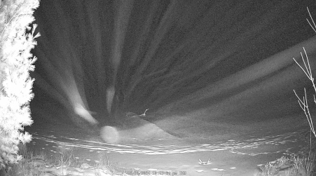 Image from 2024-12-26