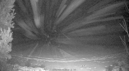 Image from 2024-12-26