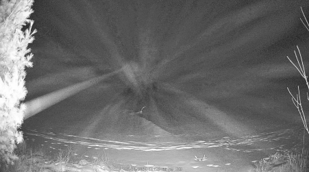 Image from 2024-12-26
