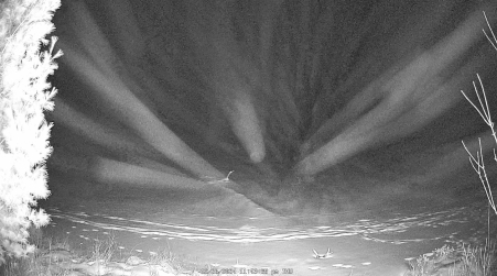 Image from 2024-12-26