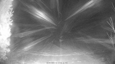 Image from 2024-12-27