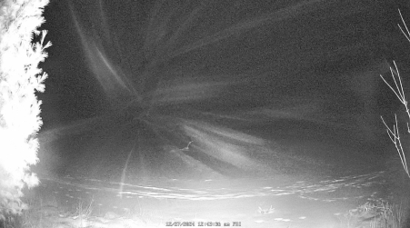 Image from 2024-12-27
