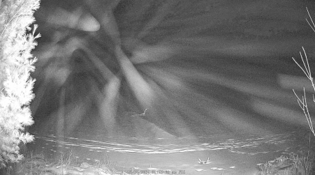 Image from 2024-12-27