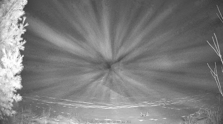 Image from 2024-12-27