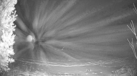 Image from 2024-12-27