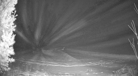 Image from 2024-12-27