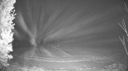 Image from 2024-12-27