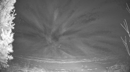 Image from 2024-12-27