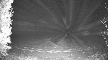 Image from 2024-12-27