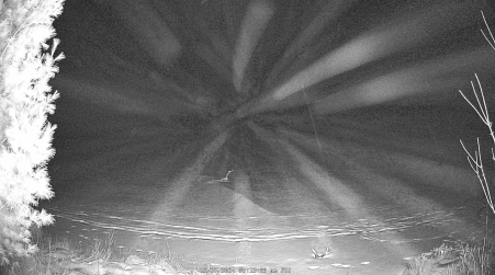 Image from 2024-12-27