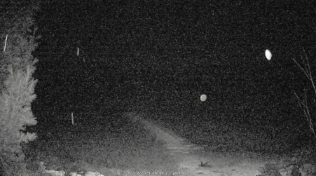 Image from 2024-12-27